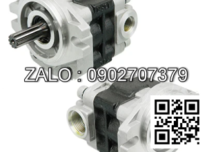 Hydraulic Pump 181N7-10001 FB20-7 TCM