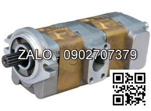 Hydraulic Pump 143C7-10011 FD35-40T9 TCM