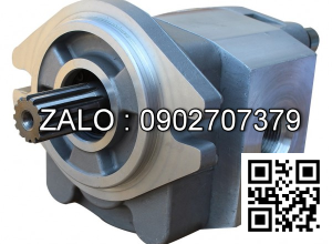 Hydraulic Pump 15807-10302 FD80-100Z7 TCM