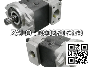 Hydraulic Pump 130G7-11441 FD80-100Z8 TCM