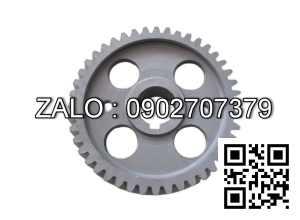 Camshaft Timing Gear 490BPG-02009-CY