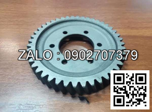 Timing Gear 490BPG-02003-XC