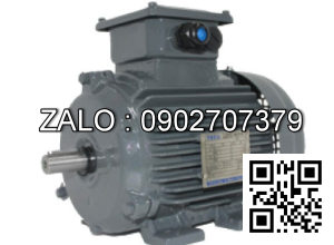 MOTOR MSMA102P1G 1000W