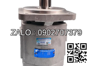 Bơm bánh răng CBG2100-BFH Lưu lượng: 100 ml/r Áp suất 20-25 Mpa