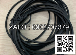 Dây curoa TBN300L-150 W150*L762*80Teech