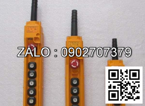 Hop nut nhan dieu khien Palang 10T