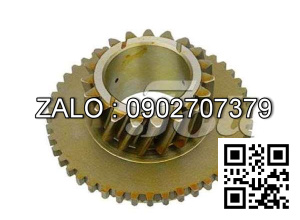 Nhông 19Tx45T TAILIPT FD / G15-35