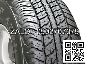 Lốp xe Dunlop 165 /60  R14ouring1 Indo