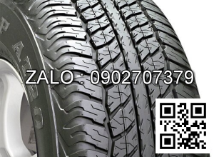 Lốp xe Dunlop 185 /65  R14P300 Indo