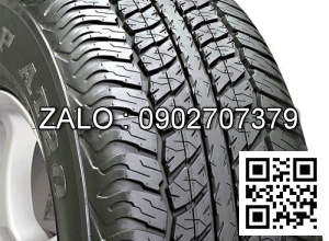 Lốp xe Dunlop 195 /65 R15P300 Japan