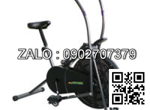 Xe đạp tập thể dục liên hoàn tay chân Royal 963