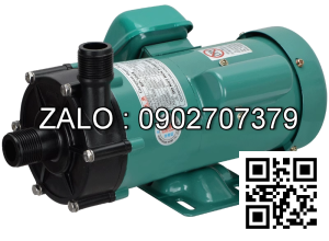 Máy Bơm TW-100R/220V ( Đầu bơm nhựa )