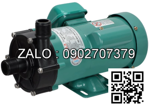 Máy Bơm TW-30R/220V ( Đầu bơm nhựa )