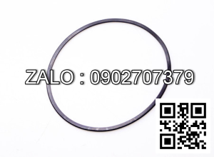 Ring Seal 3D12-20-19