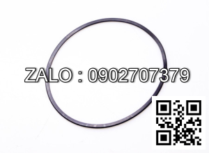 Ring Seal 31516-40K00