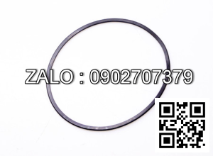 Ring Seal 16312-52171