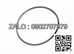 Ring Seal 80*74*4