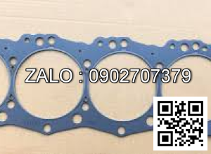 Ron quy lát động cơ ISUZU 4BG1