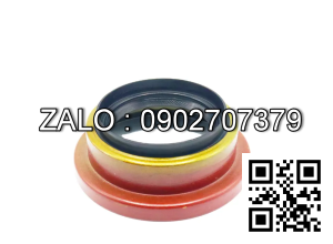 Phốt động cơ HJ493