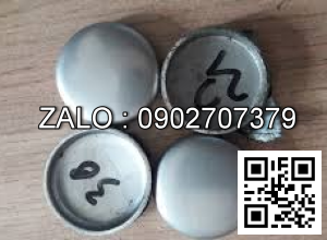 Đồng tiền nước xe nâng HANGCHA 490BPG