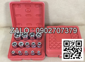 Bộ khẩu E 14 chi tiết