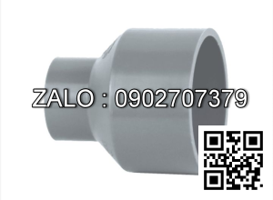 Đầu nối nước nhựa giảm MS 114/90 Bình Minh