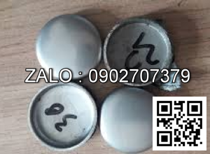 Đồng tiền nước xe nâng YANMAR 4D88E,4TNE88