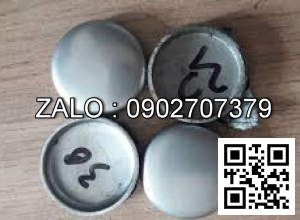 Đồng tiền nước xe nâng YANMAR 4TNV94，4TNV98，4TNV94L