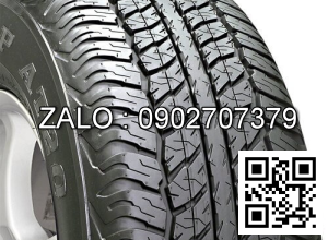 Lốp xe Dunlop 185 /65  R14P65E Indo