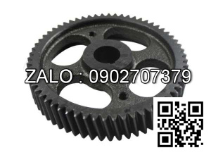 C490 Injection Pump Assy