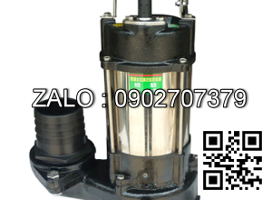 Máy bơm chìm nước thải NTP HSM280-12.2 20 3 HP