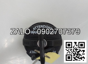 Nắp thùng nhiên liệu hd120 và hd210 HYUNDAI 311807CA00