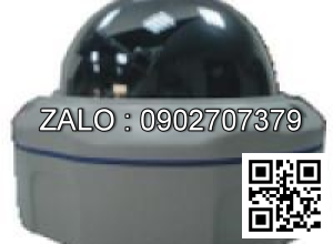 Camera áp trần D3W-32S