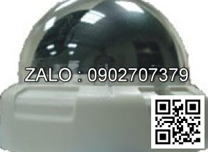 Camera áp trần D3W-300H