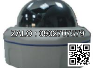 Camera áp trần D3W-300HE