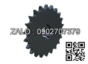 Nhông xích 100A - 19T răng Do=209 Dp=192.9 d=22