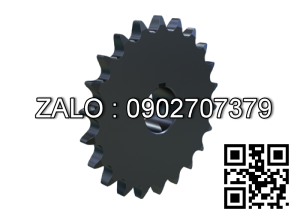 Nhông xích 120A - 19T răng Do=251 Dp=231.48 d=22