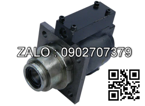 Heo thắng cái Tailift FD/G40-50