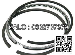 Bạc xéc măng động cơ B3.3 CUMMINS