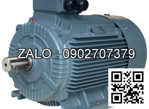 Motor 3 pha 220V 0.18KW ( cốt lồi )