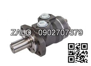 Motor thủy lực piston JMDG3-300 ( 8 răng, trục 38, MĐV 190mm )