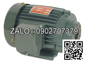 PMO-0-04 Horizontal Motor CHEN YING 1/2HP
