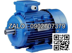 Motor 3 pha 380V 5HP 3.7 KW ( cốt lồi )
