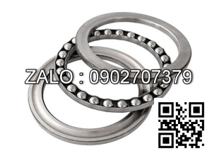 Bade platis + Bạc đạn SB208 NK4