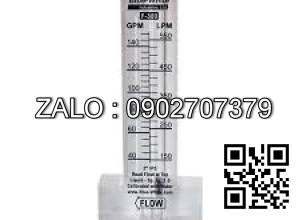 Đồng hồ lưu lượng Blue-White F-300