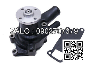 Bơm nước DAEWOO DB33 A213847/65.06500-6114