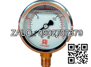 Đồng Hồ Áp Lực Có Dầu Hiệu Gb ( France )