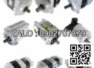 PUMP HYDRAULIC 69101-L1402