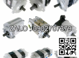 PUMP HYDRAULIC 10917-10001