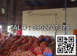 Kho lạnh bảo quản thanh long